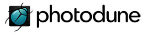 Partners